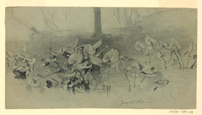 Lehdistöjen tutkimus tekijältä William Trost Richards