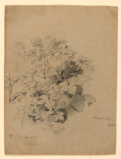Lehdistöjen tutkimus tekijältä William Trost Richards