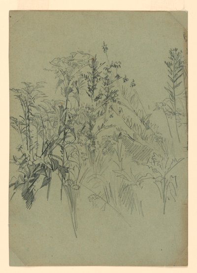 Lehdistöjen tutkimus tekijältä William Trost Richards