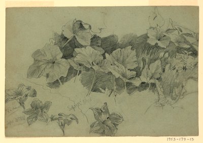 Lehdistöjen tutkimus tekijältä William Trost Richards