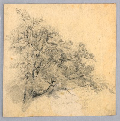 Lehdistöjen tutkimus tekijältä William Trost Richards