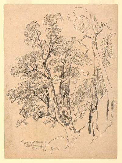 Lehdistötutkimus, Trachselwald, Bern, Sveitsi tekijältä William Trost Richards
