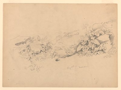 Estudi del fullatge, Trachselwald, Berna, Suïssa finlandès tekijältä William Trost Richards