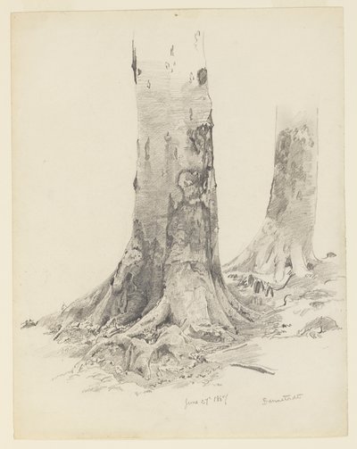Puunrungot, Darmstadt tekijältä William Trost Richards