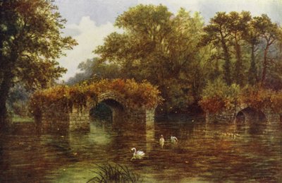 Avon-joki, Warwickin linna (väri litho) tekijältä William W. Quatremain