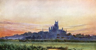 Ely suoista (väri litho) tekijältä William Wiehe Collins