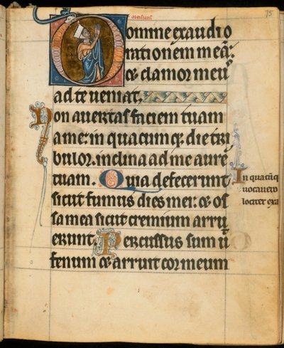 Lisätä. 49999, f.75 Alkukirjain "D", joka kuvaa naista rukouksessa, kuvitus "De Brailes Hoursista", n. 1240 (vellum) tekijältä William de Brailes