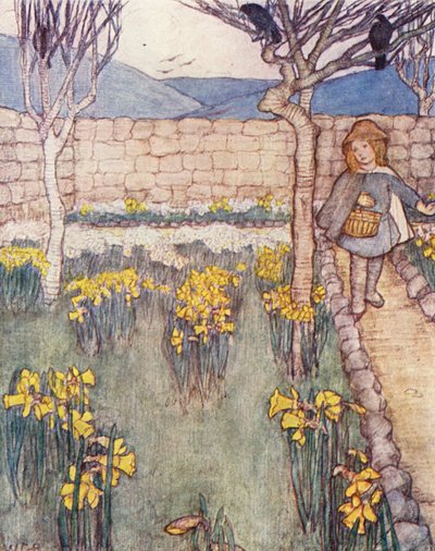 Lasten puutarhanhoitokirja: Narsissit (värilitro) tekijältä Winifred Cayley Robinson