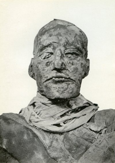 20. dynastian muinaisen Egyptin faaraon Ramses III:n muumion pää, n. 1156 eKr. 1926 tekijältä Winifred Mabel Brunton