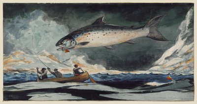 Hyvä uima-allas, Saguenay-joki tekijältä Winslow Homer