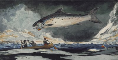 Hyvä uima-allas, Saguenay River, 1895 tekijältä Winslow Homer