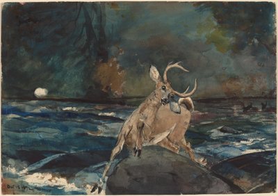 Hyvä laukaus, Adirondacks tekijältä Winslow Homer