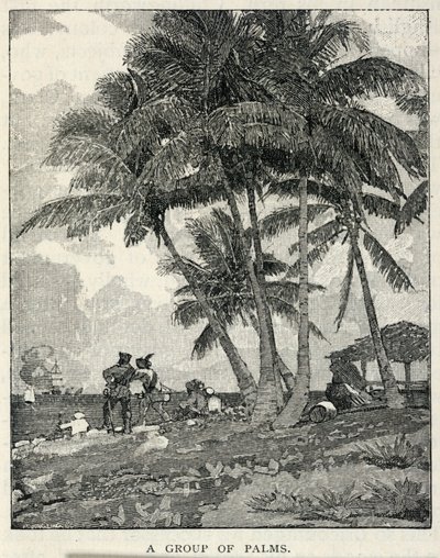 Palmuryhmä, The Century Magazine, helmikuu 1887. tekijältä Winslow Homer