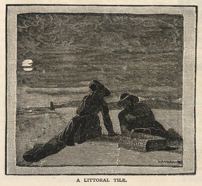 A Littoral Tile, Scribner