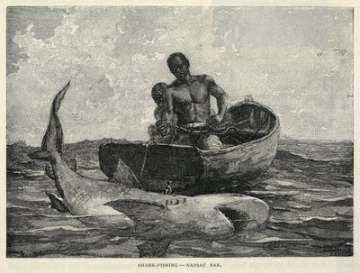 Kulkuri, Nassaun portti, hainkalastus--Nassaun baari, The Century Magazine, helmikuu 1887. tekijältä Winslow Homer