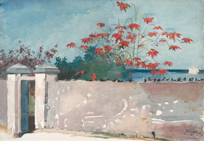 A Wall, Nassau, 1898. tekijältä Winslow Homer