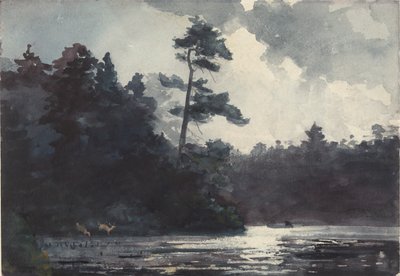 Adirondack-järvi tekijältä Winslow Homer