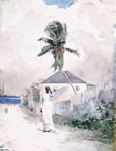 Along the Road, Bahama, 1885 tekijältä Winslow Homer