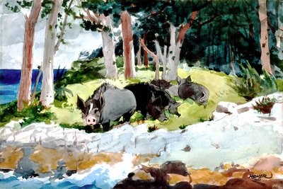 Bermudan uudisasukkaat tekijältä Winslow Homer