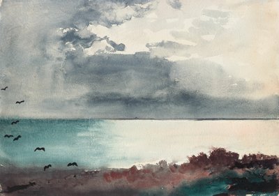 Myrsky, Mainen rannikko tekijältä Winslow Homer