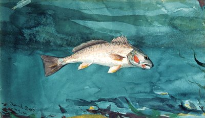 Kanavan basso tekijältä Winslow Homer