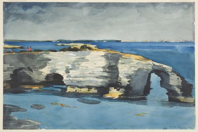 Korallin muodostuminen tekijältä Winslow Homer