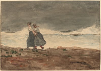 Vaara tekijältä Winslow Homer