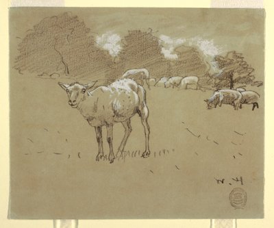 Piirros, Lammas laiduntamassa pellolla, n. 1875-78. tekijältä Winslow Homer