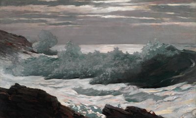 Varhain aamulla myrskyn jälkeen merellä, 1900-1903. tekijältä Winslow Homer