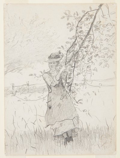 Tyttö pitelee omenapuun oksaa tekijältä Winslow Homer