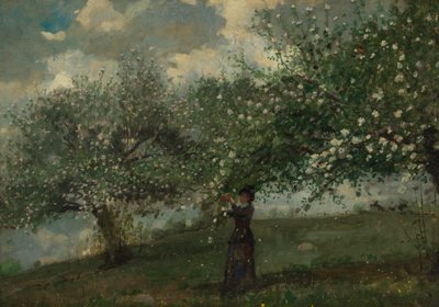 Tyttö poimimassa omenakukkia tekijältä Winslow Homer