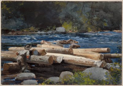 Hudsonjoki tekijältä Winslow Homer