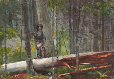  tekijältä Winslow Homer