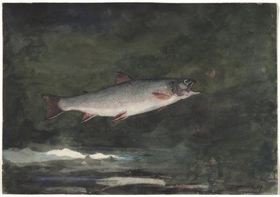  tekijältä Winslow Homer