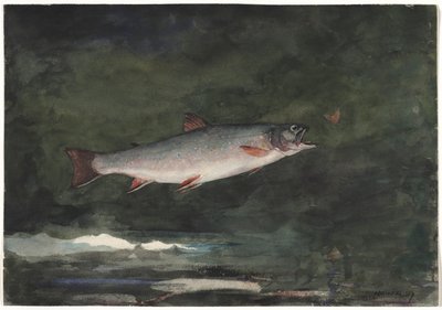 Leaping Trout, 1889. tekijältä Winslow Homer