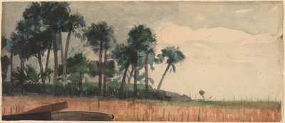 Palmut, punainen, 1890. tekijältä Winslow Homer