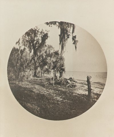 Palmu- ja rantamaisema, Floridan rannikko, n. 1904 tekijältä Winslow Homer