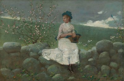 Persikkakukkia tekijältä Winslow Homer