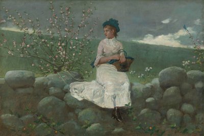Persikkakukkia, 1878. tekijältä Winslow Homer