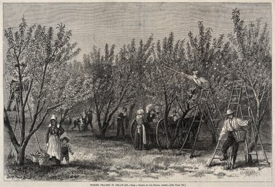  tekijältä Winslow Homer