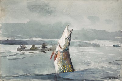  St. John -järvi tekijältä Winslow Homer
