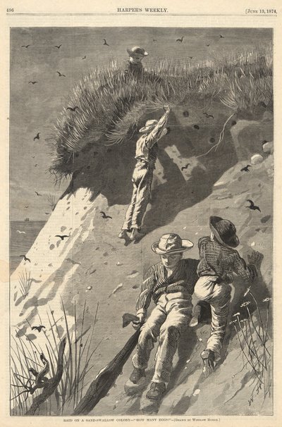 Raid hiekka-pääskyskylälle tekijältä Winslow Homer