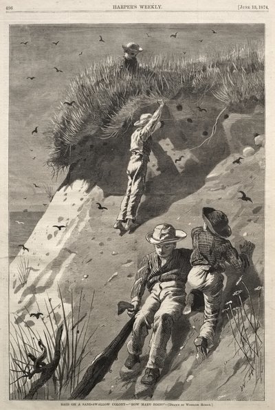 Ryöstöretki törmäpääskyjen yhdyskuntaan - "Kuinka monta munaa?" tekijältä Winslow Homer
