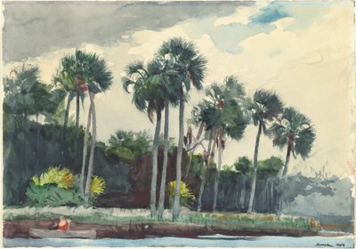 Punainen paita, Homosassa, Florida tekijältä Winslow Homer