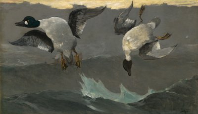 Oikea vasen tekijältä Winslow Homer