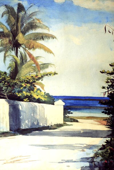 Road Nassaussa, 1898-99 tekijältä Winslow Homer