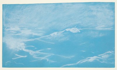Lokki ja aallot tekijältä Winslow Homer