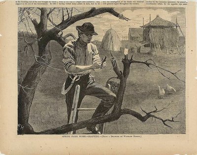 Kevään maatilan työ-varttaminen tekijältä Winslow Homer