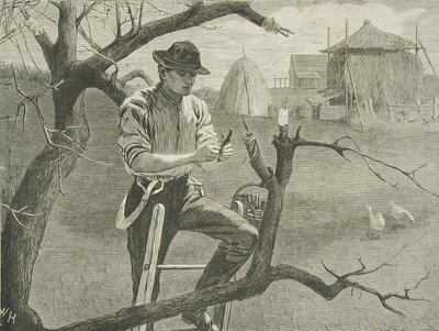  tekijältä Winslow Homer