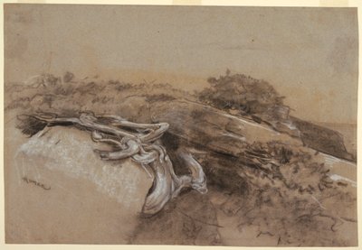 Tutkimus puiden juurista, Proutin kaula, Maine tekijältä Winslow Homer